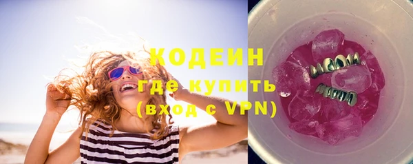 круглые Пересвет