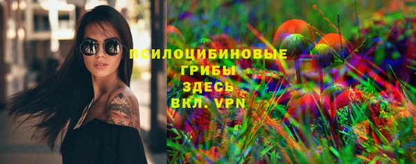 спиды Алексин