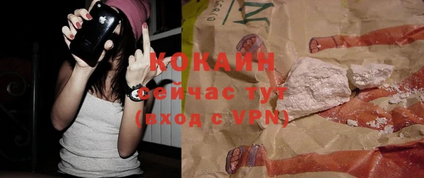 соль ск Переславль-Залесский